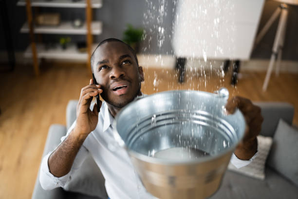 Best Fire Damage Restoration  in Metropolis, IL