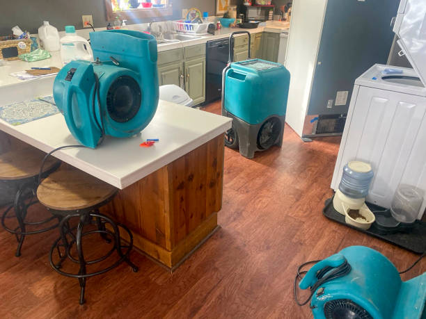 Best 24-hour water damage restoration  in Metropolis, IL