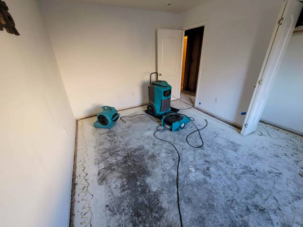 Best Ceiling water damage repair  in Metropolis, IL