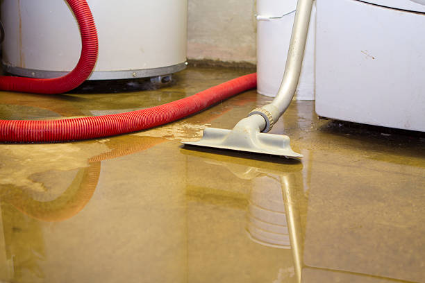 Best Residential water damage restoration  in Metropolis, IL
