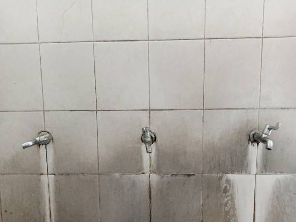 Best Professional water damage repair  in Metropolis, IL