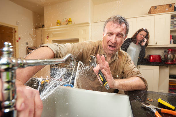 Best Flood restoration services  in Metropolis, IL